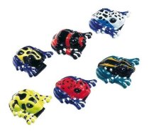 Goki VGPE014 Frog clickers Varde (46878)