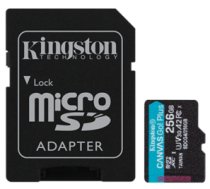 Atmiņas karte Kingston microSDXC Canvas Go Plus Gen4 256GB (SDCG4/256GB)