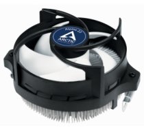 Arctic Alpine 23 (ACALP00035A)