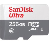 Sandisk Memory MicroSDXC 256GB (SDSQUNR-256G-GN3MN)