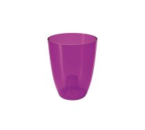 FORM PLASTIC Puķu pods Orchid 13 caurspīdīgs lillā (5907474316048)