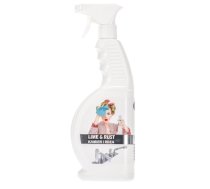 Blux Tīrīšanas līdz. kaļķakmens un rūsas noņemšanai 650ml Blux (5908311413135)