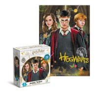 Attīstošā puzle Medium-S Harry Potter Harry and friends 250 pcs (ETC200498)