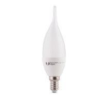 Bulb LED C37 E14 7W 230V warm white, flame (68621)