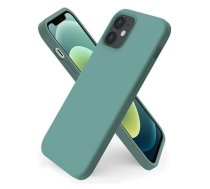 Riff Plāns &amp; Mīksts silikona aizmugures maks ar mīkstu iekšpusi priekš Apple iPhone 11 Pro Pine Green (RF-TS-IPH11PR-PIGRE)