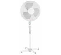 Esperanza Hurricane Ventilators (EHF001WW)