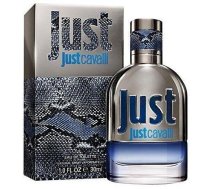 Roberto Cavalli Just Cavalli Him 2013 Smaržas EDT 30 ml (3607346236420)