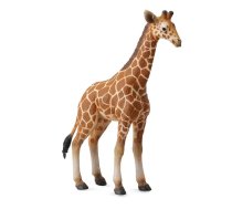 Collecta Žirafes mazulis 88535