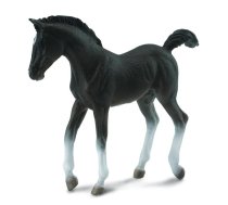 COLLECTA (M) Amerikas melnā rikšotāja ku