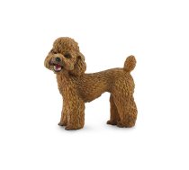 COLLECTA Pūdelis, (M), 88880