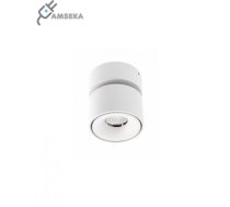 Griestu LED gaismeklis BIANCO CCT, apaļš, balts, 8W, 680lm, IP20, LD-BNCC8WOB-NB, GTV (LD-BNCC8WOB-NB)