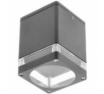 Griestu gaismeklis RIVEN, 102x120, IP54, max 35W, grafīta; OS-RIV102KWG-30 GTV (OS-RIV102KWG-30)