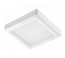 Griestu gaismeklis LOUIS LED, IP54, 24W, 1920lm, 120°, 4000K, balta; LD-LSNK24W-NB GTV (LD-LSNK24W-NB)
