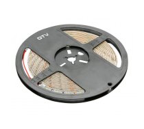 LED lente FLASH 2835, 300 LED, 5m Rullis, 11W/M, 850lm/M, 12V, 60LED/M, 6500K Auksti Balta, IP65, Cut 5cm LD-2835-300-65-ZBN GTV (LD-2835-300-65-ZBN)