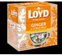 Augļu tēja LOYD Ginger&Citrus 20x2g (450-11638)