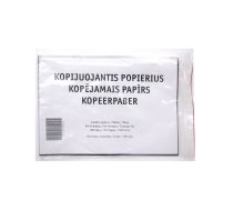 Kopējamais papīrs A4,  100 loksnes/iepak. (100-00311)