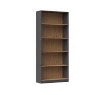 Topeshop R80 ANT/ART office bookcase