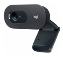 Logitech C505 HD WEB Kamera