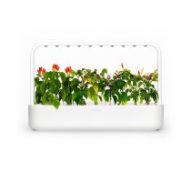 Click And Grow Smart Garden 9 Starter Kit - White (SG9S1UNI)