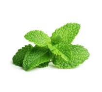 Click And Grow Click AND Grow Plant Pods 3-Pack - Peppermint (SGR22X3)