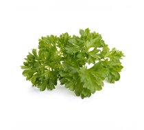 Click And Grow Click AND Grow Plant Pods 3-Pack - Curly Parsley (SGR13X3)