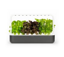 Click And Grow Smart Garden 9 Starter Kit - Dark Gray (SG9S8UNI)