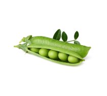 Click And Grow Click AND Grow Plant Pods 3-Pack - Dwarf Pea (SGR54X3)
