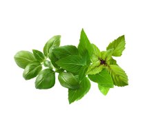 Click And Grow Click AND Grow Plant Pods 9-Pack - Basil Variety Mix (PPMBVX9)
