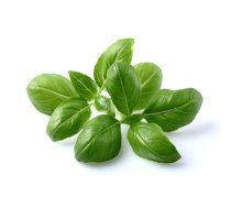 Click And Grow Click AND Grow Plant Pods 3-Pack - Basil (SGR3X3)