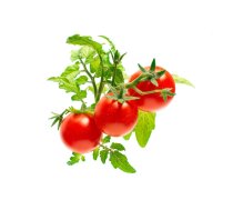 Click And Grow Click AND Grow Plant Pods 3-Pack - Mini Tomato (SGR5X3)