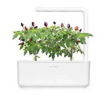 Click And Grow Click AND Grow Plant Pods 9-Pack - Purple Chili Pepper (SGR46X9)