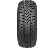 Taurus -   WINTER 601  - 175/65 R14