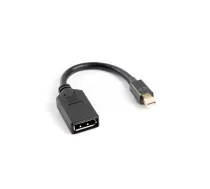 LANBERG DisplayPort mini adapter (Male) to DisplayPort (Female) (AD-0003-BK)