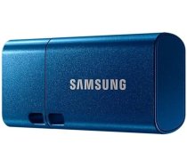 SAMSUNG Flash Drive Type-C 256 GB 3.2 Gen 1 USB Stick blau  (MUF-256DA/APC)