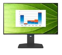 BENQ 23.8-inch BL2490TC LED Monitor, 5ms/1500:1/HDMI/144Hz (9H.LNNLA.TBE)