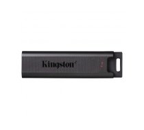 Kingston 1TB DataTraveler Max USB-C-Stick DTMAX/1TB (DTMAX/1TB)