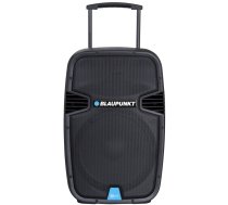 Blaupunkt Audio system PA15 PLL Karaoke  (BLAUPUNKT PA15)