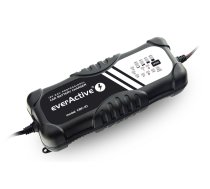 Everactive CAR BATTERY CHARGER 12V /24V  (CBC10)