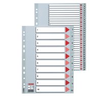 Sadalītājs dokumentiem Esselte A4 formāts, 1-31, plastikāta (150-00248)