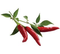 Click & Grow Smart Garden refill Chili Pepper 3pcs (SGR6X3)