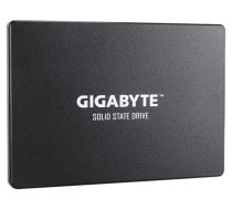Gigabyte SSD 1TB (GP-GSTFS31100TNTD)