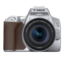 Canon EOS 250D + EF-S 18-55mm f/4-5.6 IS STM SLR Camera Kit 24.1 MP CMOS 6000 x 4000 pixels Silver (3461C001)