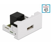 Delock Easy 45 Module USB 2.0 Type-A female to RJ45 female port 22.5 x 45 mm (81344)