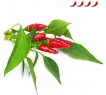 Click & Grow Smart Garden refill Piri Piri Chili Pepper 3pcs (SGR67X3)