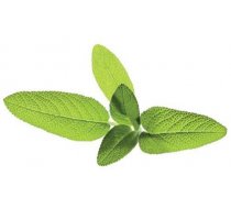 Click & Grow Smart Garden refill Sage 3pcs (SGR7X3)
