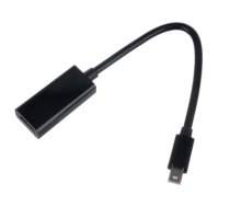 RoGer Adapter to Transfer mini DP to HDMI Black (RG-DP-HDMI-BK)