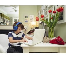 JBL JR460NC KIDS Blue (JBLJR460NCBLU)