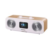 Radio Blaupunkt IR50DAB (IR50DAB)