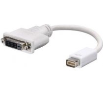 Adapter AV Lindy DVI Mini - DVI-D biały (41000) (MBC#5352786)