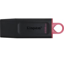 Pendrive Kingston DataTraveler Exodia, 256 GB  (DTX/256GB) (DTX/256GB)